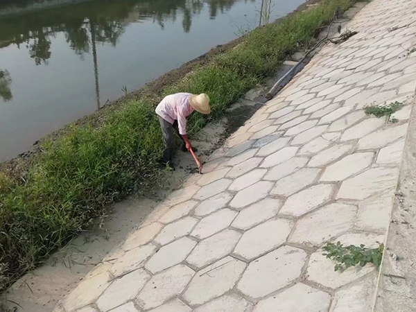 漢壽縣沅南澇區排澇能力建設項